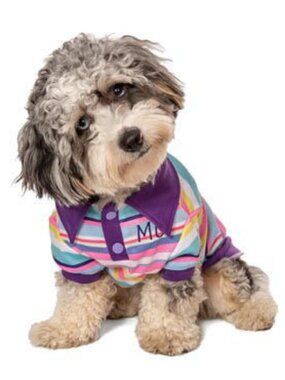 Pink Stripe Polo